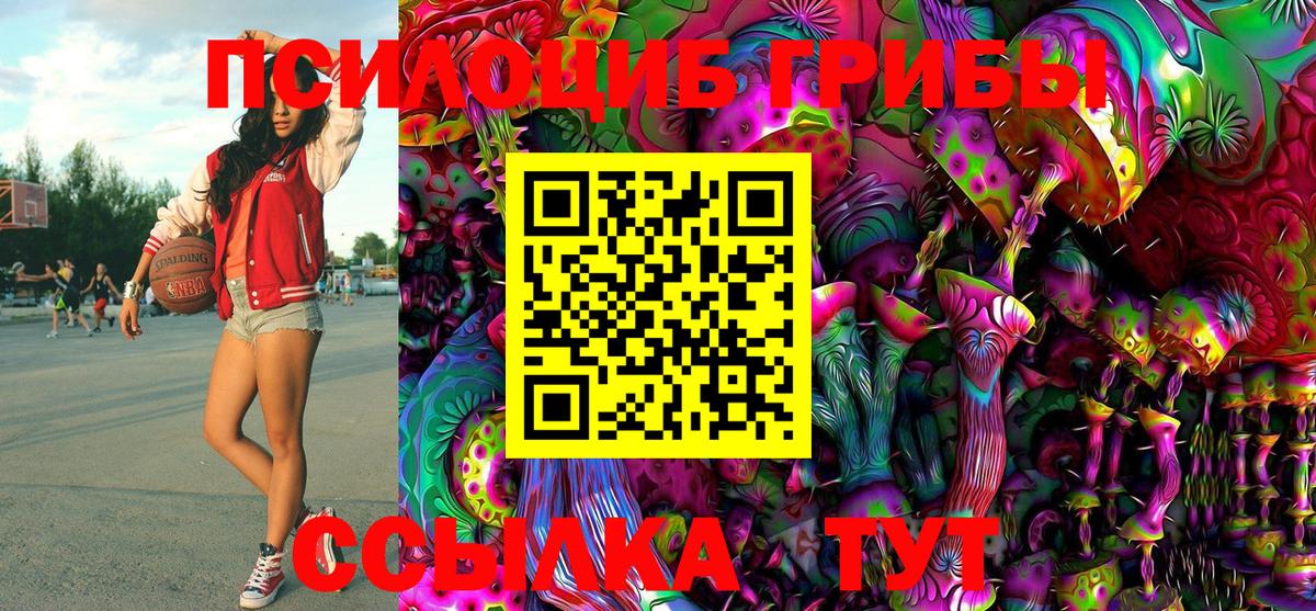 Псилоцибиновые грибы GOLDEN TEACHER  Псилоцибиновые грибы MAGIC MUSHROOMS  Будённовск  Вход с VPN 